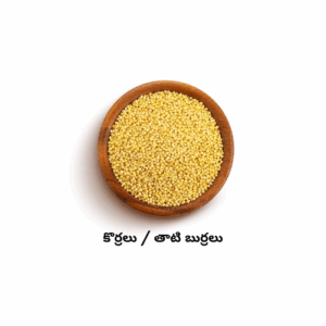 Foxtail millet