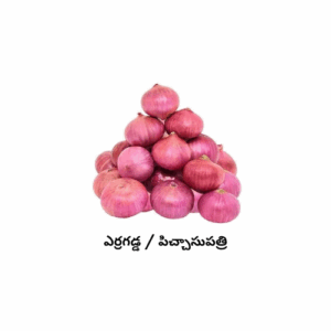 Onions
