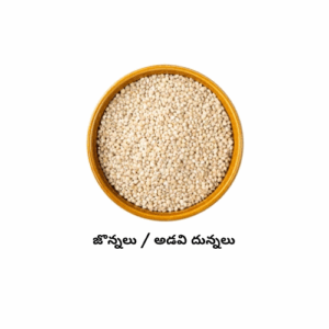 Sorghum/Jowar