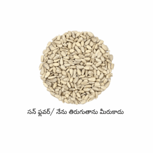 Roasted Sunflower seeds