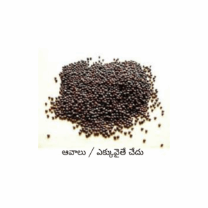 Mustard Seeds