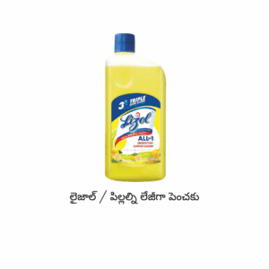 Lizol Floral Surface Cleaner 625 ml ( 10 BV)